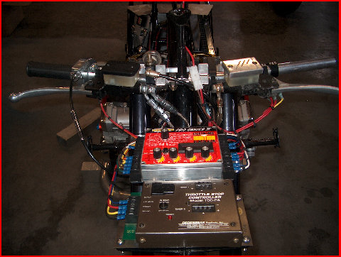 noisytoysracing_-_black007001.jpg