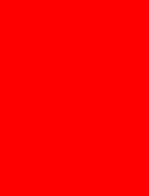 noisytoysracing_-_black010002.gif
