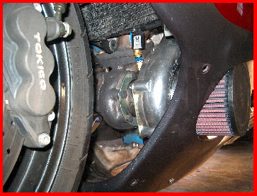 noisytoysracing_-_black010004.jpg