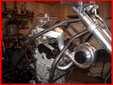 noisytoysracing_-_black011003.jpg